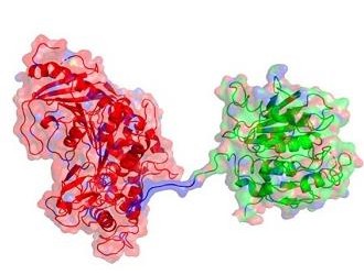 Scientists create natural enzymes that can speed up plastic decomposition by six times